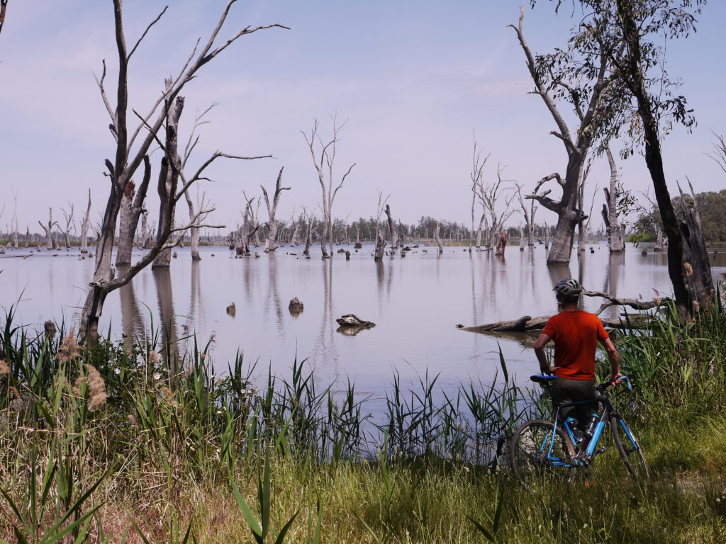 Park Map Urana Caravan Park